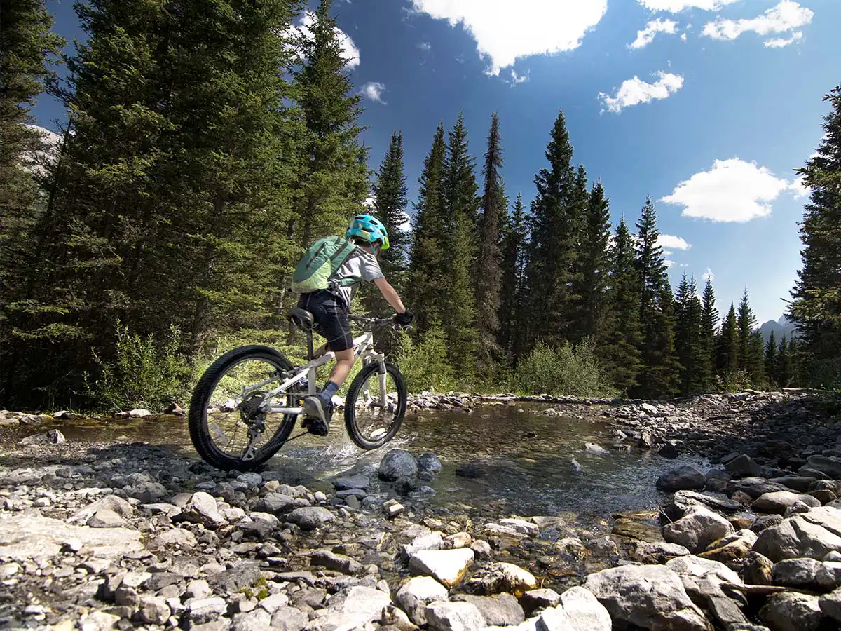 VTT d'occasion les Saisies